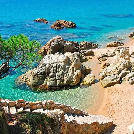 Apolo Platja d'Aro