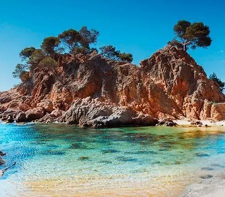 Apolo Platja d'Aro